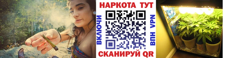 Купить наркотик аптеки Пучеж Кокаин  Псилоцибиновые грибы  MEGA   Канабис  Меф  ГАШ 