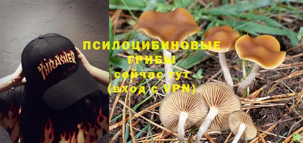 сатива Алексин