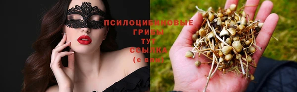 сатива Алексин