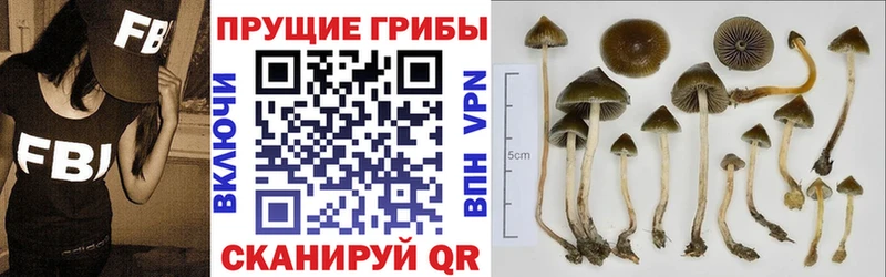 mega вход  Пучеж  маркетплейс наркотические препараты  Псилоцибиновые грибы Psilocybe 